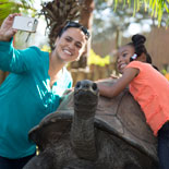 Lowry Park Zoo