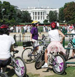 The White House