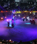 the Arena