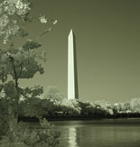 The Washington Monument