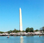 The Washington Monument