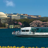 Cruise by Monuments