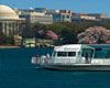 Washington DC Odyssey Brunch Cruise