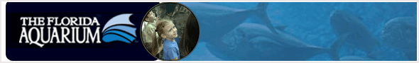 The Florida Aquarium Discount Tickets