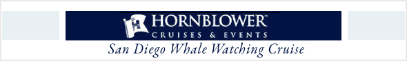 San Diego Whale Watching Cruise