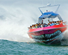 CODZILLA Thrill Boat Ride-Midweek