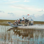 Feel the excitement and learn the history of Florida's most remarkable treasure--the Everglades