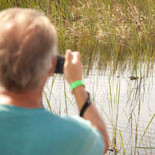 Sawgrass Park 60 minute Private Tour- 5 to 6 guests