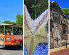 Old Town Trolley-KW Aquarium and Shipwreck Museum Package