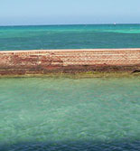 Looking Out at the Moat