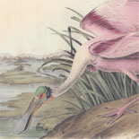 The landscaping served as an inspiration to renowned ornithologist John James Audubon