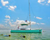 Key West Eco Tours aboard the Java Cat