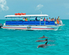 Dolphin Watch and Snorkel Combo