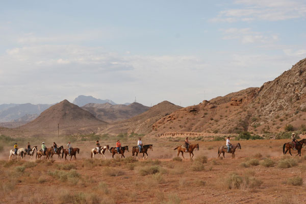 Beautiful Sights on the Desert Trail