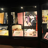 Celebrate Elvis in the News