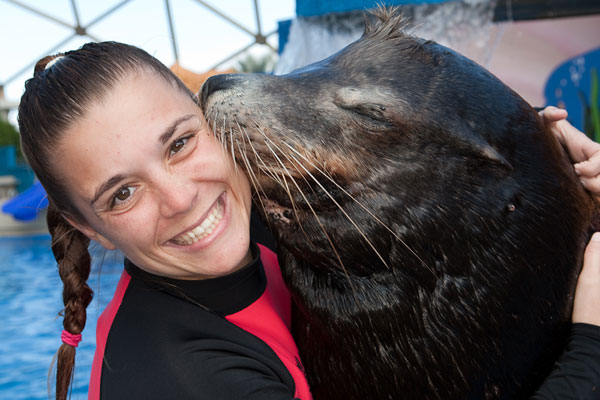 Sea Lion and Trainer