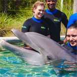 Miami Seaquarium: A place where dolphins walk on water and a killer whale flies through the air.