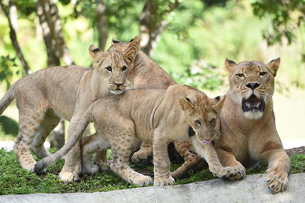 Zoo Miami Discounts | Miami Zoo Tickets