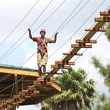 Gatorland provides a unique and natural alternative to the larger theme parks of today.