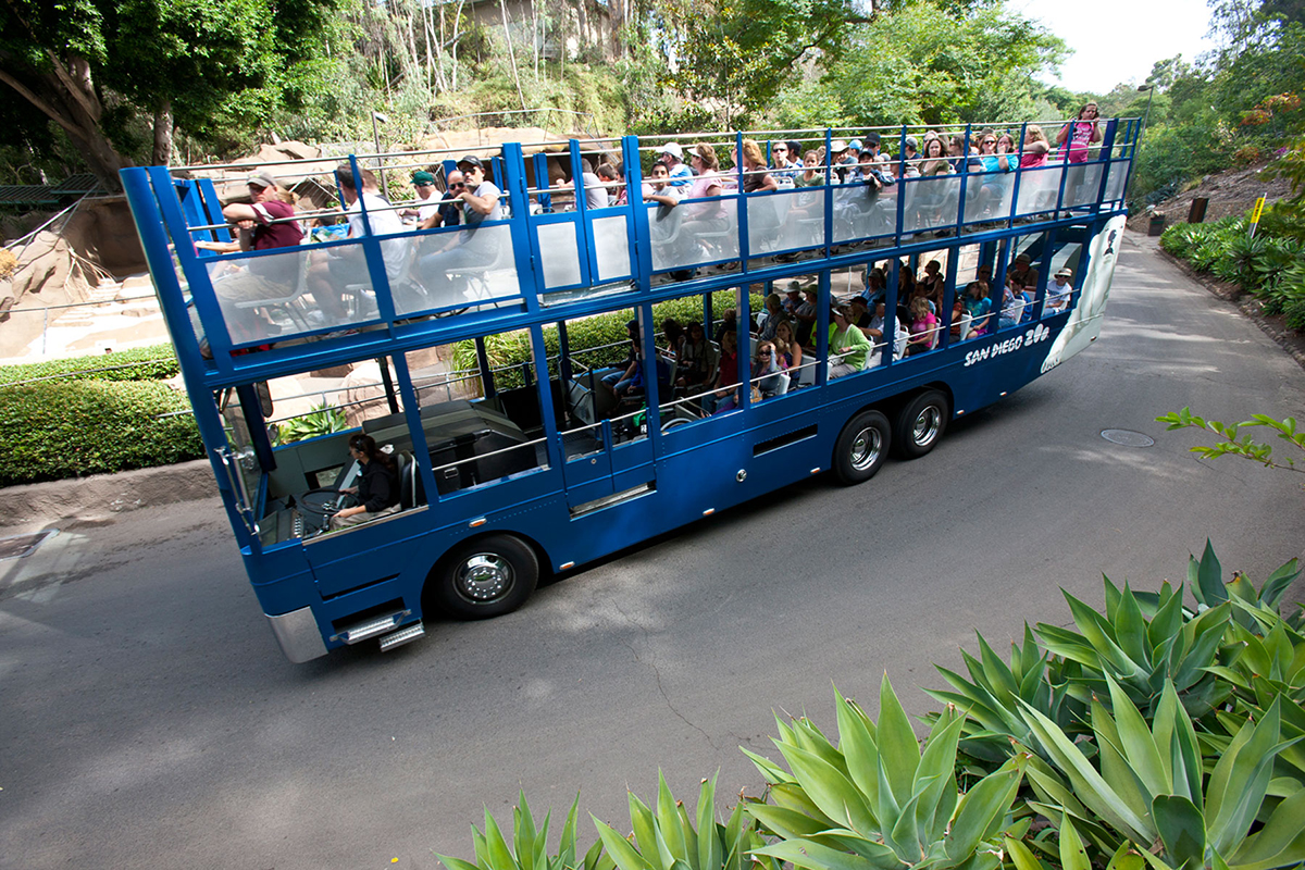 Unlimited use of San Diego Zoo's Express Bus
