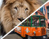 San Diego Zoo and Old Town Trolley Package