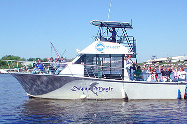 Dolphin Watch Tour Savannah Dolphin Watch Tour Savannah