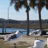 Mission of Nombre de Dios Cross