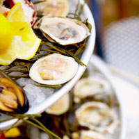 St. Augustine Seafood