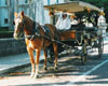 Ghostly Gathering Carriage Ride Tour