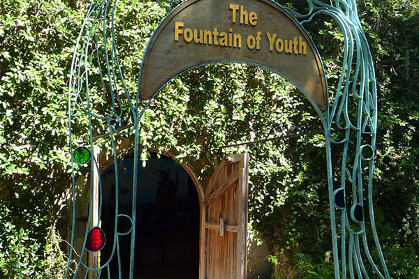 Image result for fountain of youth