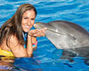 Marineland Dolphin Swim Adventure
