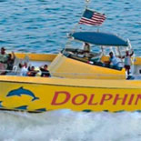 Dolphin Racer Speedboat Adventure