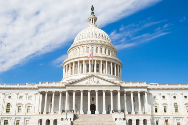 Image result for u.s. capitol